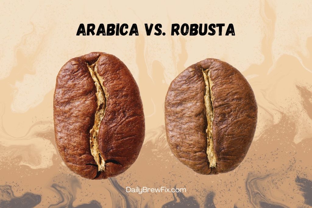 Key Difference Between Arabica and Robusta Coffee