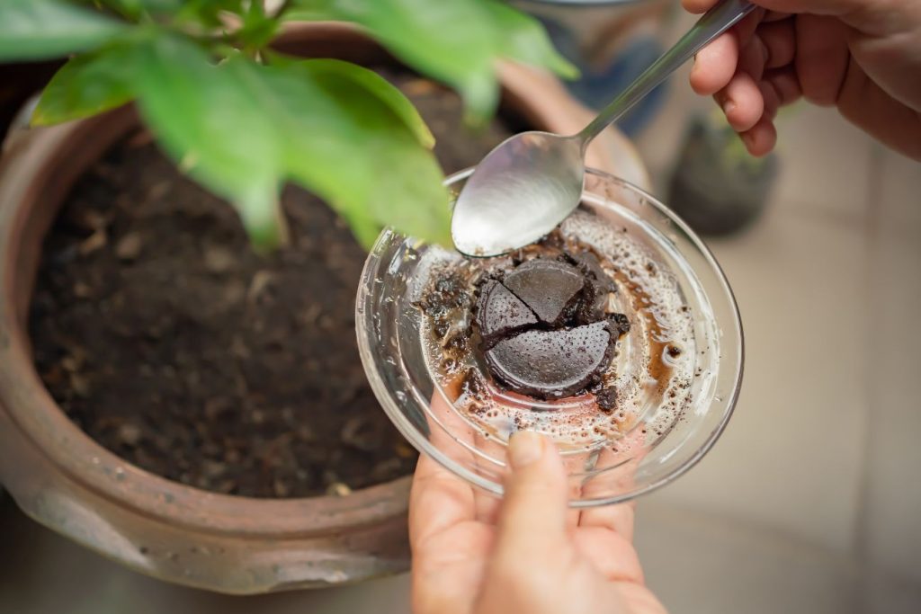 Natural Fertilizer for Plants
