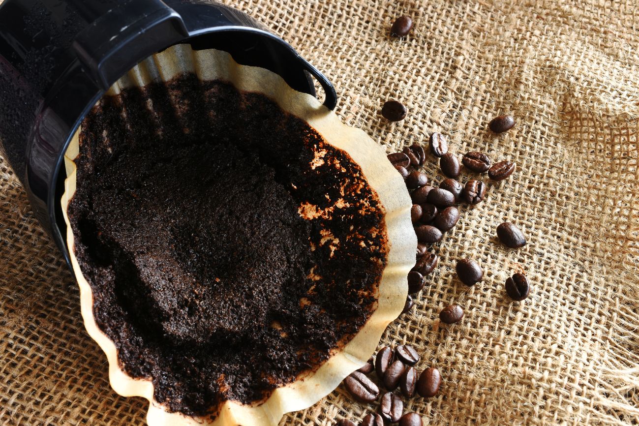 Used coffee grounds