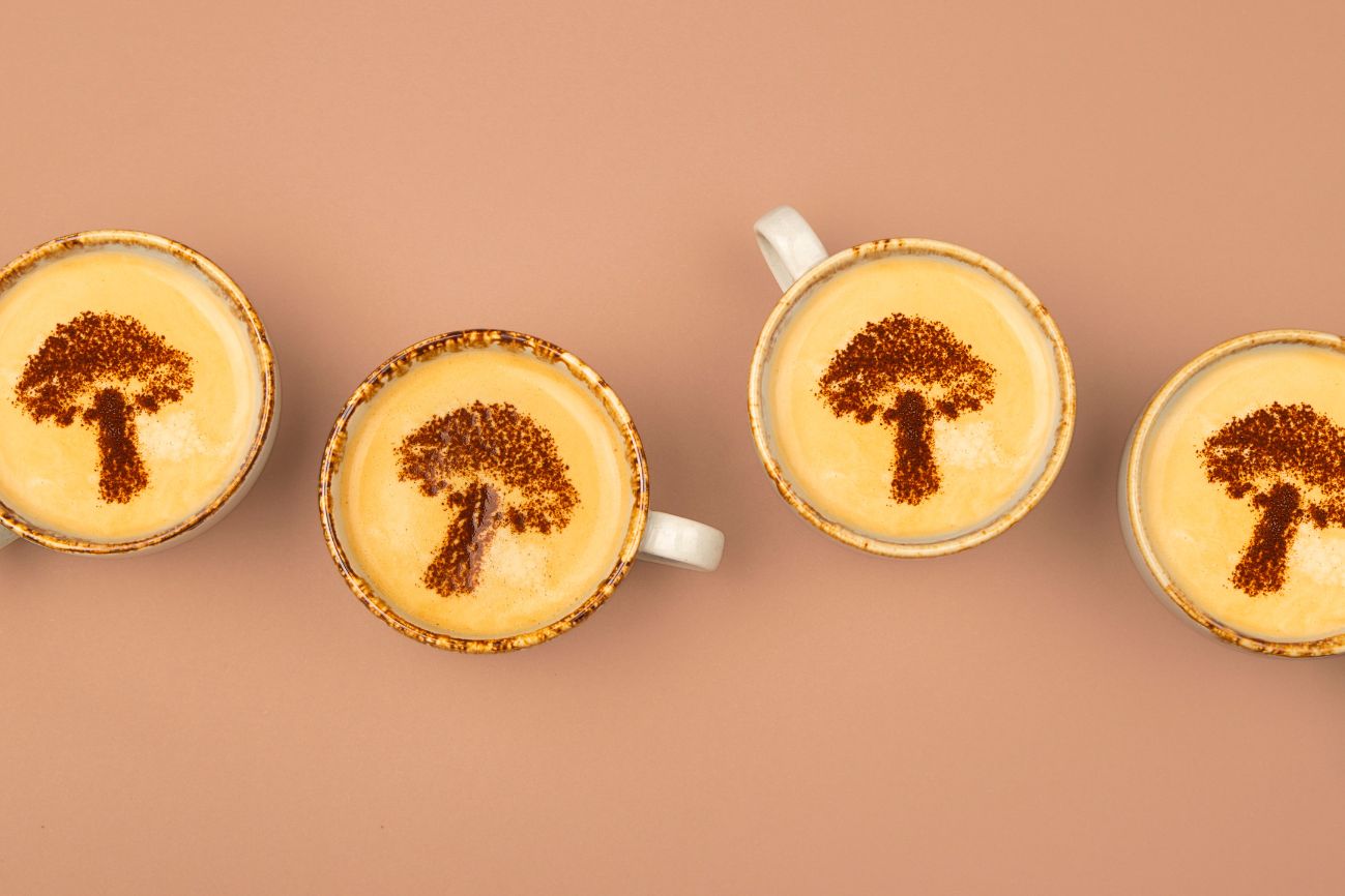 Best mushroom coffee brands